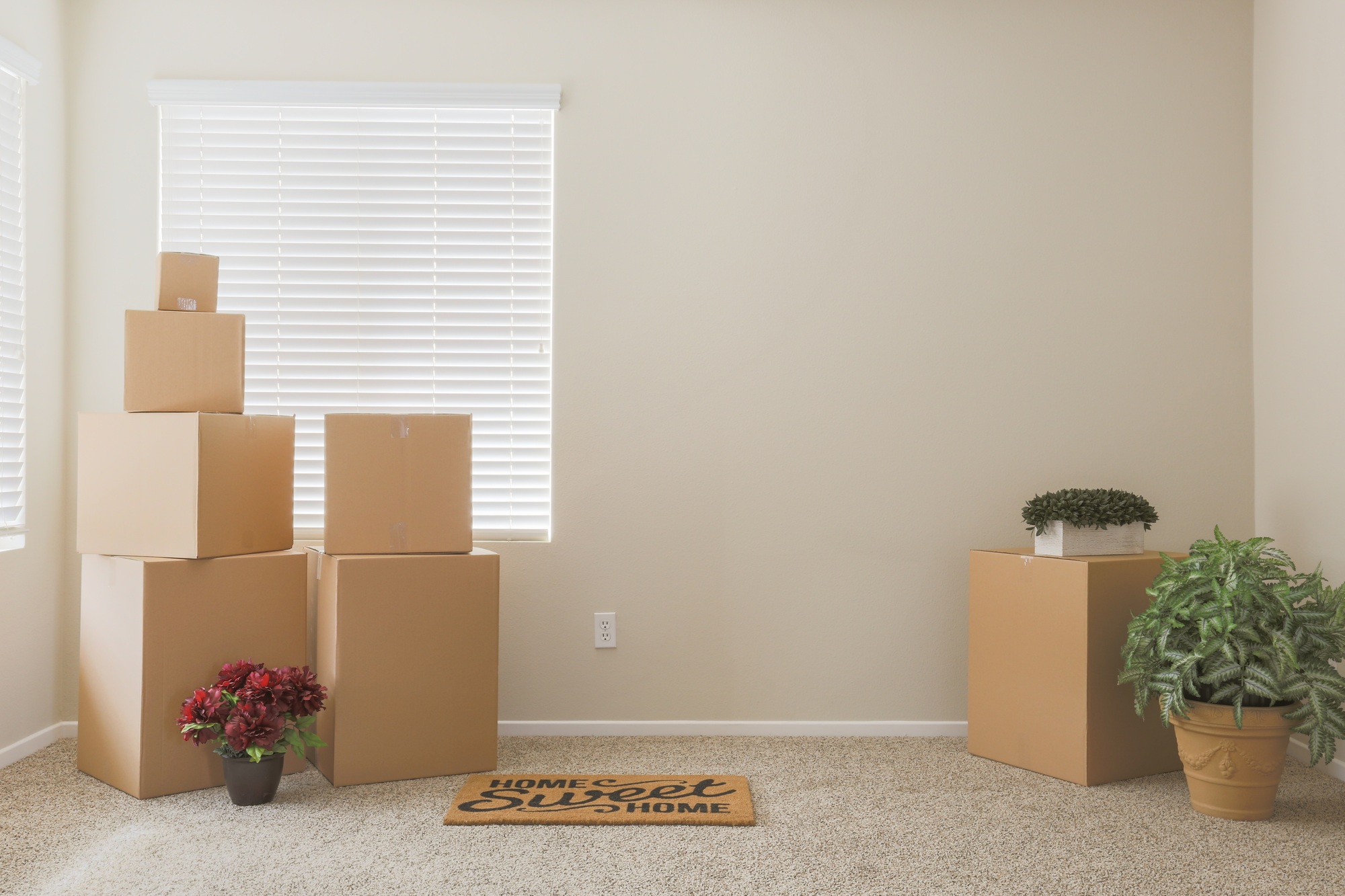 Variety of Packed Moving Boxes In Empty Room